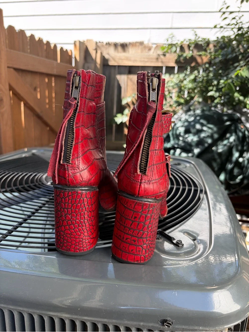 freebird croc embossed
